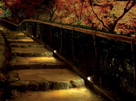 Cliquez pour agrandir