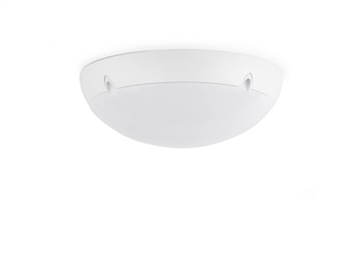 Cliquez pour agrandir