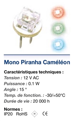 Cliquez pour agrandir