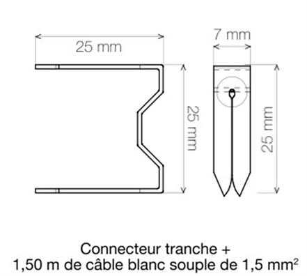 Cliquez pour agrandir