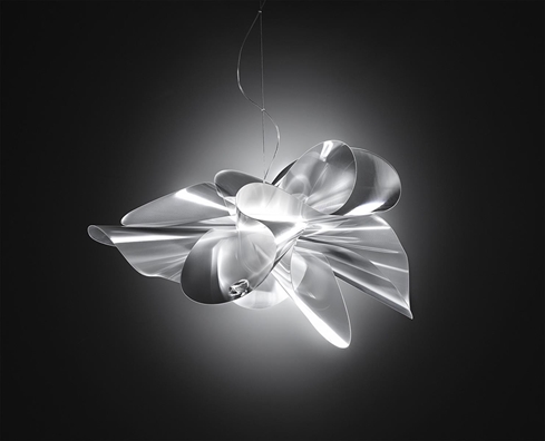 Cliquez pour agrandir