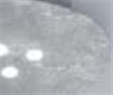 Cliquez pour agrandir