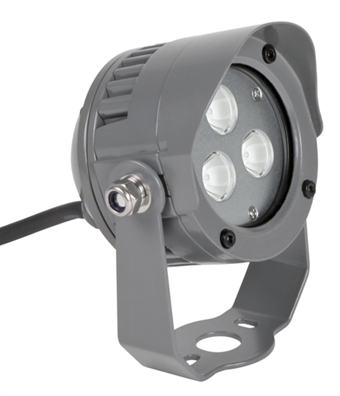 Cliquez pour agrandir